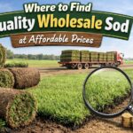Wholesale sod near me